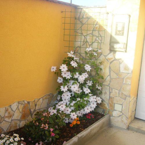 Ferienwohnung Kustanygyongye Vendeghaz Kehidakustány Exterior foto